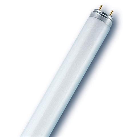 נורת פלורסנט T8