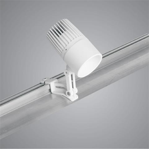 פרופיל רייל 2